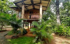 Ruk Sewana Villa Tree House