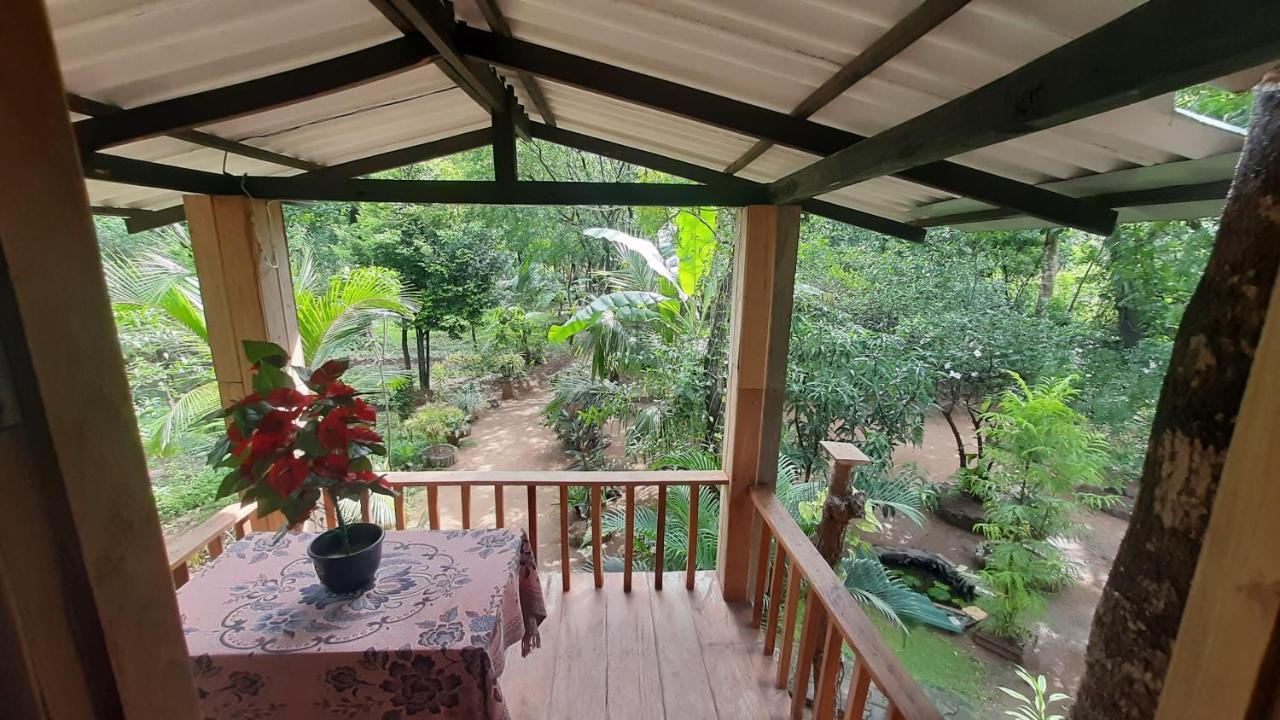 Ruk Sewana Villa Tree House Sigiriya Exterior foto