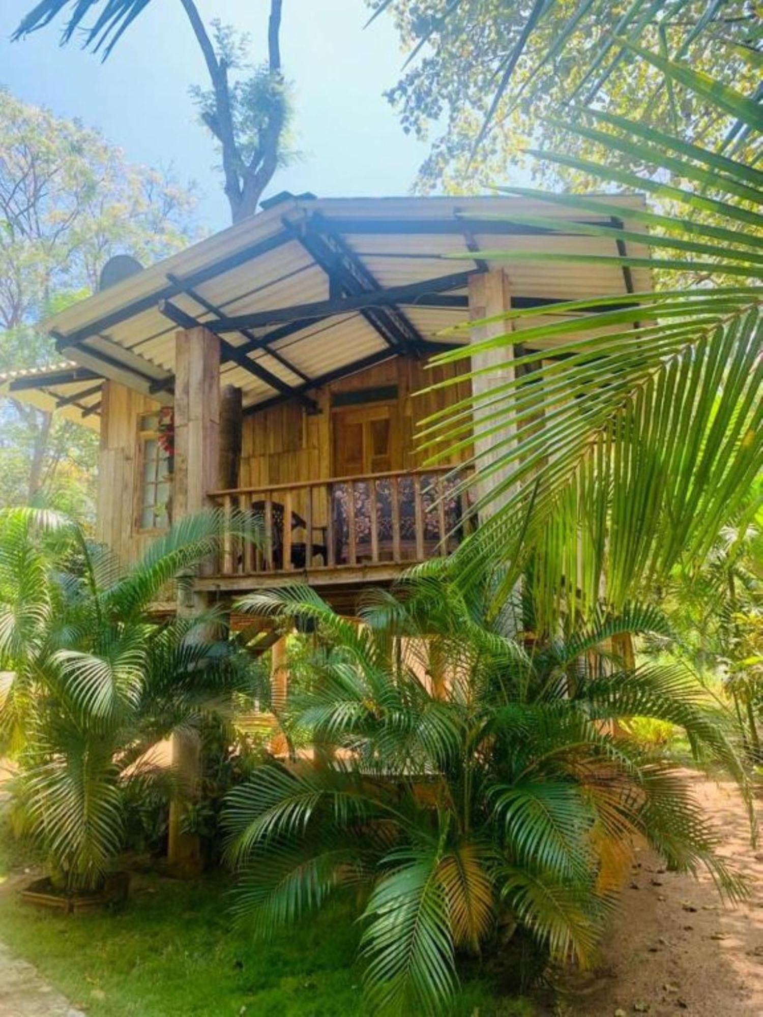 Ruk Sewana Villa Tree House Sigiriya Exterior foto